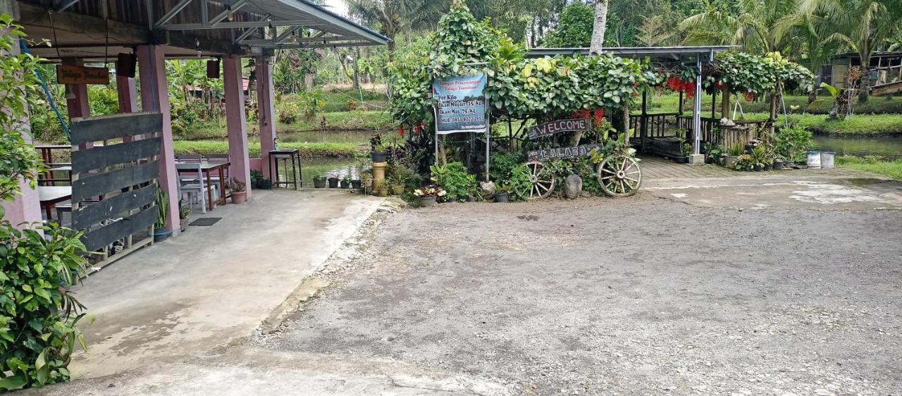 Talaga Tomohon Home Stay And Fishing Pond Exterior foto
