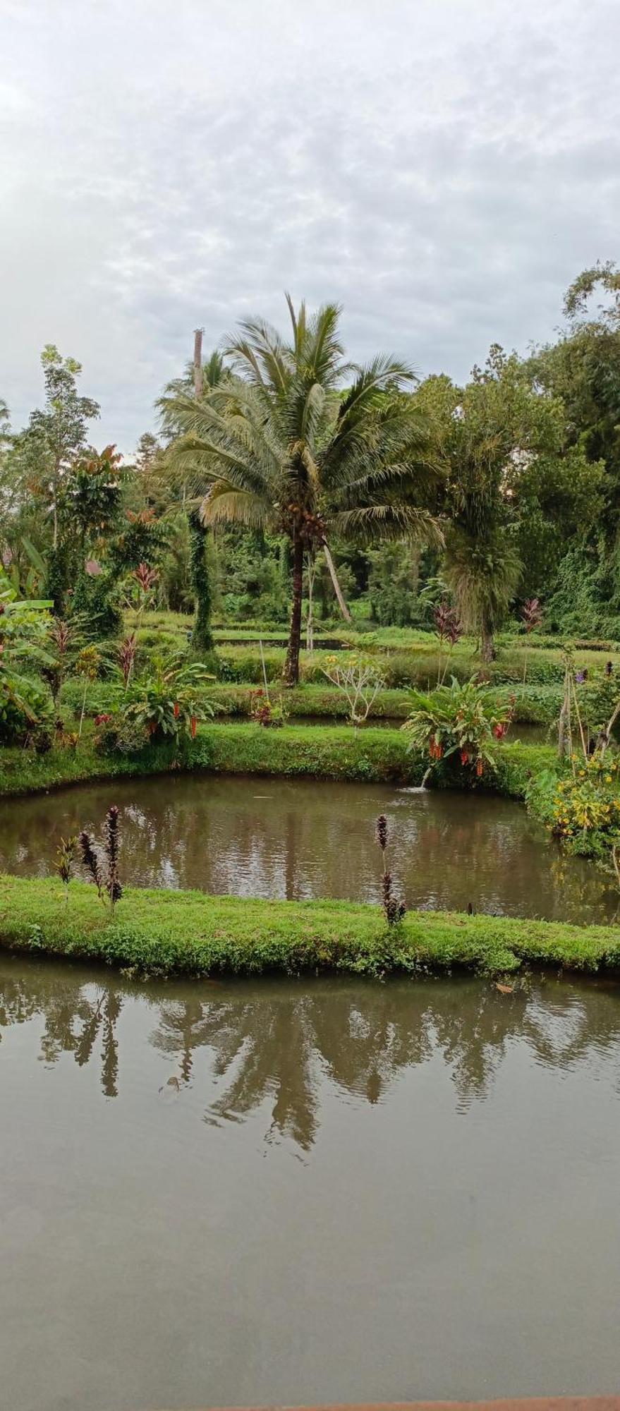 Talaga Tomohon Home Stay And Fishing Pond Exterior foto